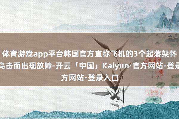 体育游戏app平台韩国官方宣称飞机的3个起落架怀疑遭鸟击而出现故障-开云「中国」Kaiyun·官方网站-登录入口