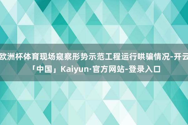 欧洲杯体育现场窥察形势示范工程运行哄骗情况-开云「中国」Kaiyun·官方网站-登录入口