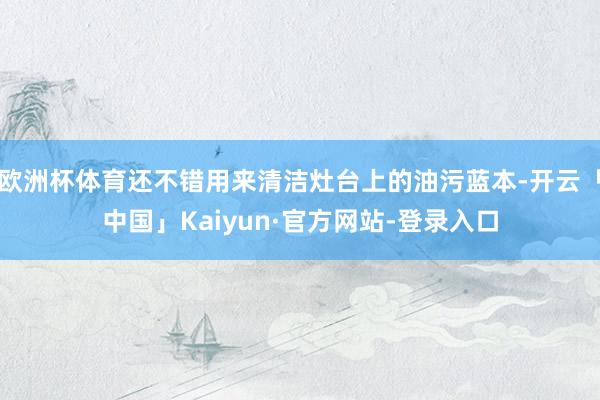 欧洲杯体育还不错用来清洁灶台上的油污蓝本-开云「中国」Kaiyun·官方网站-登录入口