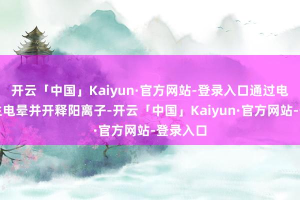 开云「中国」Kaiyun·官方网站-登录入口通过电离丝产生电晕并开释阳离子-开云「中国」Kaiyun·官方网站-登录入口