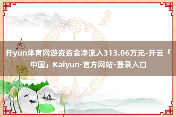 开yun体育网游资资金净流入313.06万元-开云「中国」Kaiyun·官方网站-登录入口