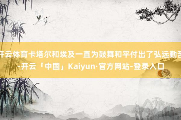 开云体育卡塔尔和埃及一直为鼓舞和平付出了弘远勤苦-开云「中国」Kaiyun·官方网站-登录入口
