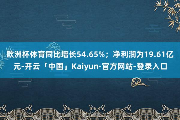 欧洲杯体育同比增长54.65%；净利润为19.61亿元-开云「中国」Kaiyun·官方网站-登录入口